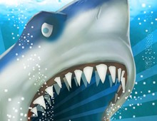 Shark Pursuit App