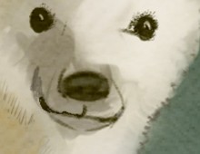 Animal Sketches for Publishing