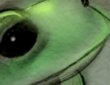 Animal Sketches for Publishing